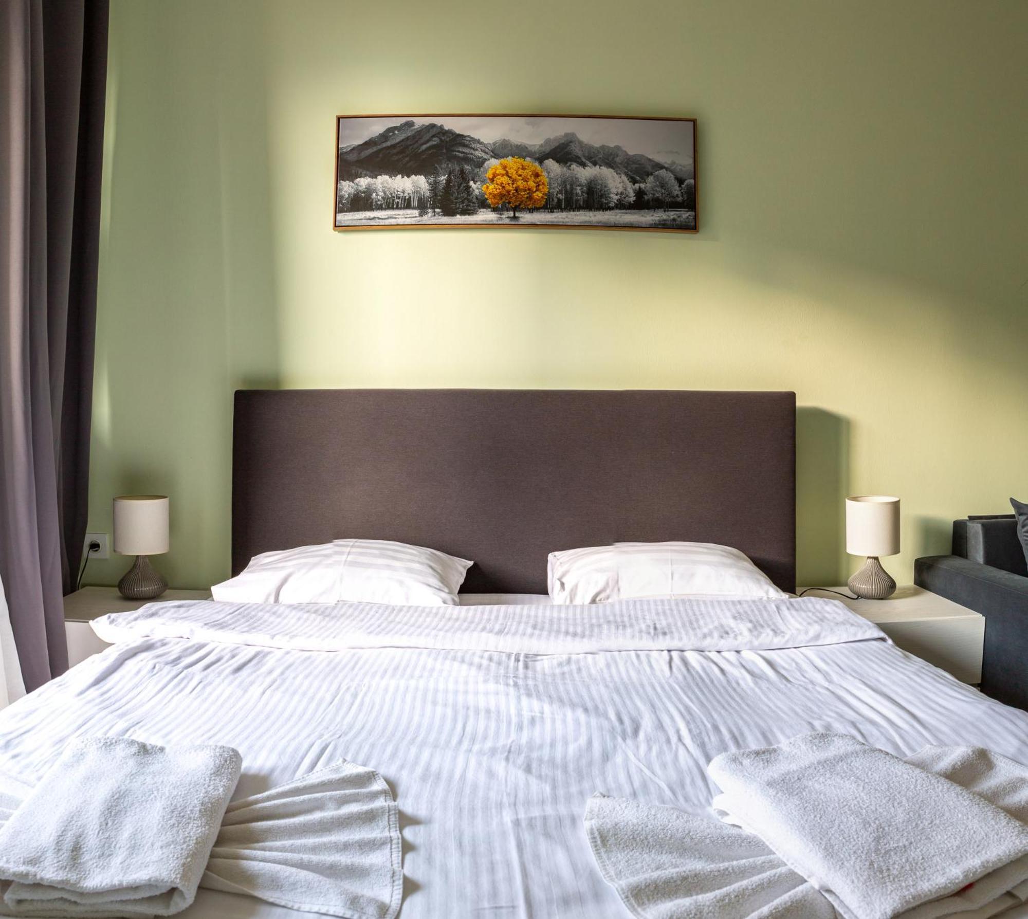 New Gudauri Family Loft Apartments 객실 사진